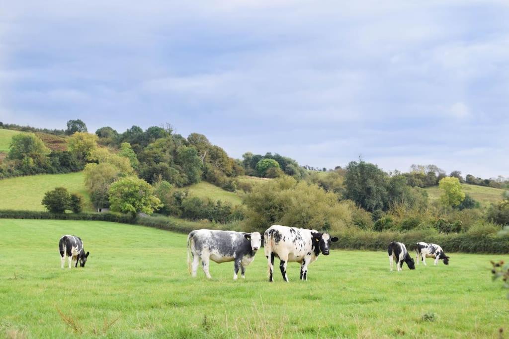 Nr Bicester Village 5 Star Luxury On Farm Piddington المظهر الخارجي الصورة